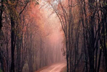 问鼎娱乐：[体坛零距离]郑钦文：有起伏被骂很正常.