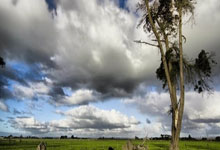 问鼎娱乐：曼城连续七个赛季闯入足总杯四强.