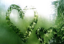 ESPN：绿军出售可能是NBA扩军的前奏，萧华表示一直关注西雅图.