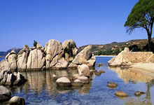 德甲串关解析 霍芬海姆VS奥格斯堡+法兰克福VS斯图加特.